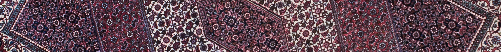 Bidjar Persian Carpet Rug N1Carpet Canada Montreal Tapis Persan 2750