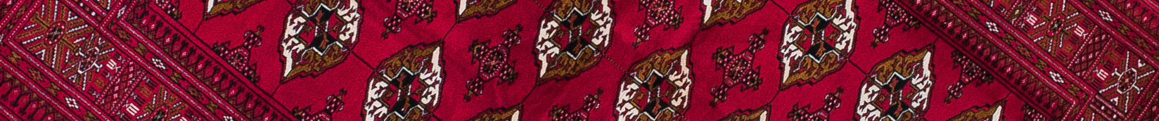 Torkman Persian Carpet Rug N1Carpet Canada Montreal Tapis Persan 1150