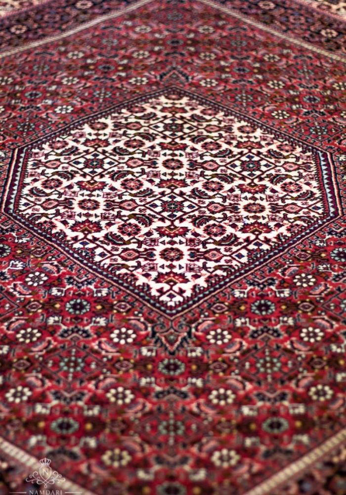 Bidjar Namdari Persian Carpet Rug N1Carpet