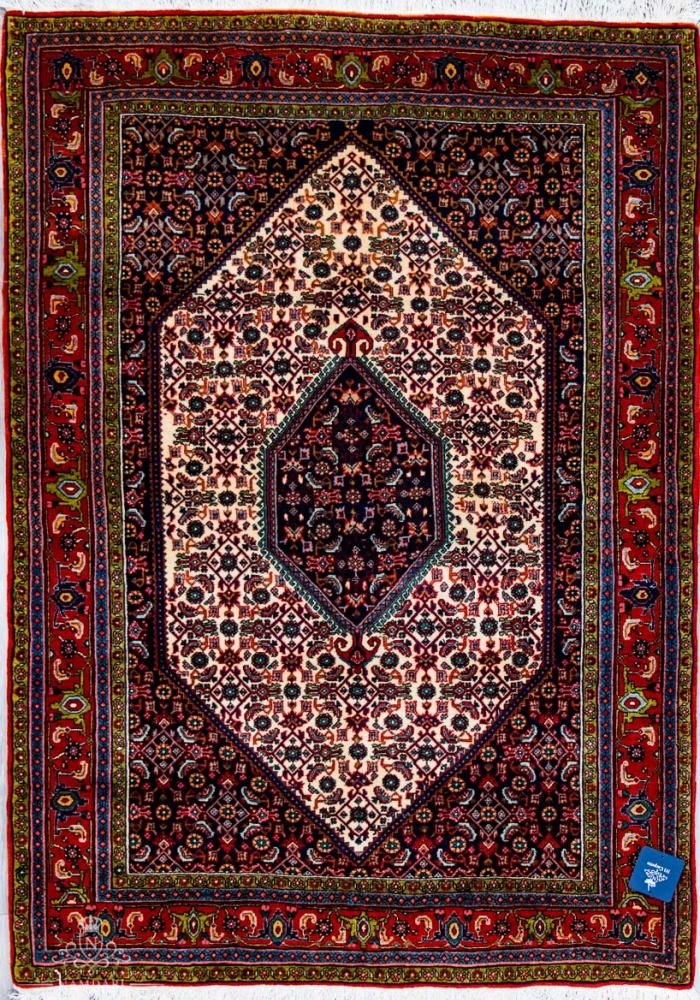 Bidjar Namdari Persian Carpet Rug N1Carpet Montreal Canada