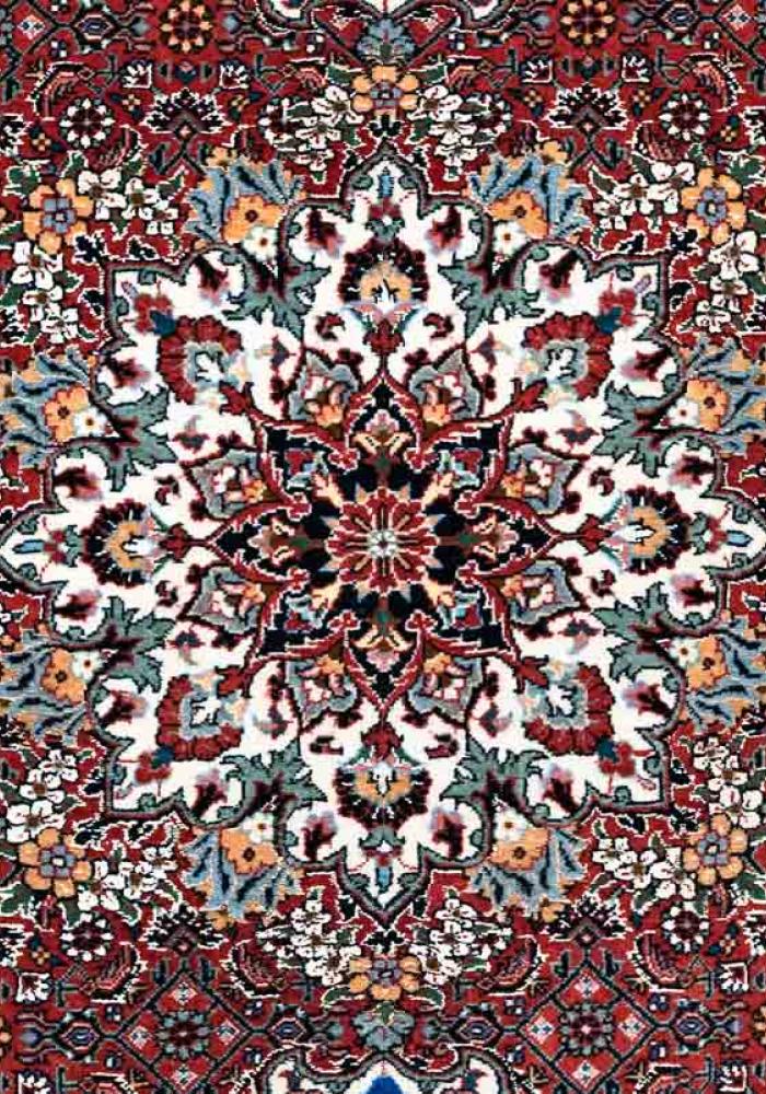 Bidjar Persian Carpet Rug N1Carpet Canada Montreal Tapis Persan